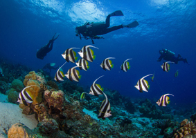 The Tides Lodge - Ushongo Beach